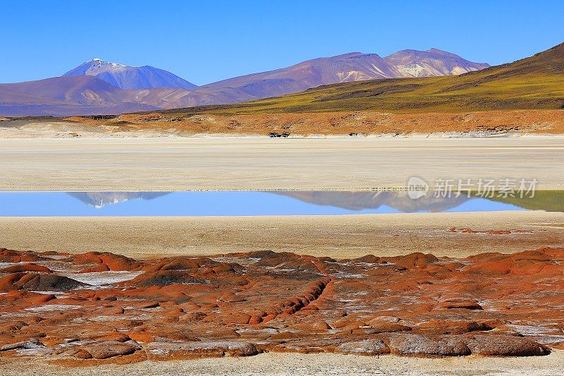 Salar de Talar和红色的石头(piedras rojas) -绿松石湖反射和田园般的阿塔卡马沙漠，火山景观全景-圣佩德罗阿塔卡马，智利，Bolívia和阿根廷边境